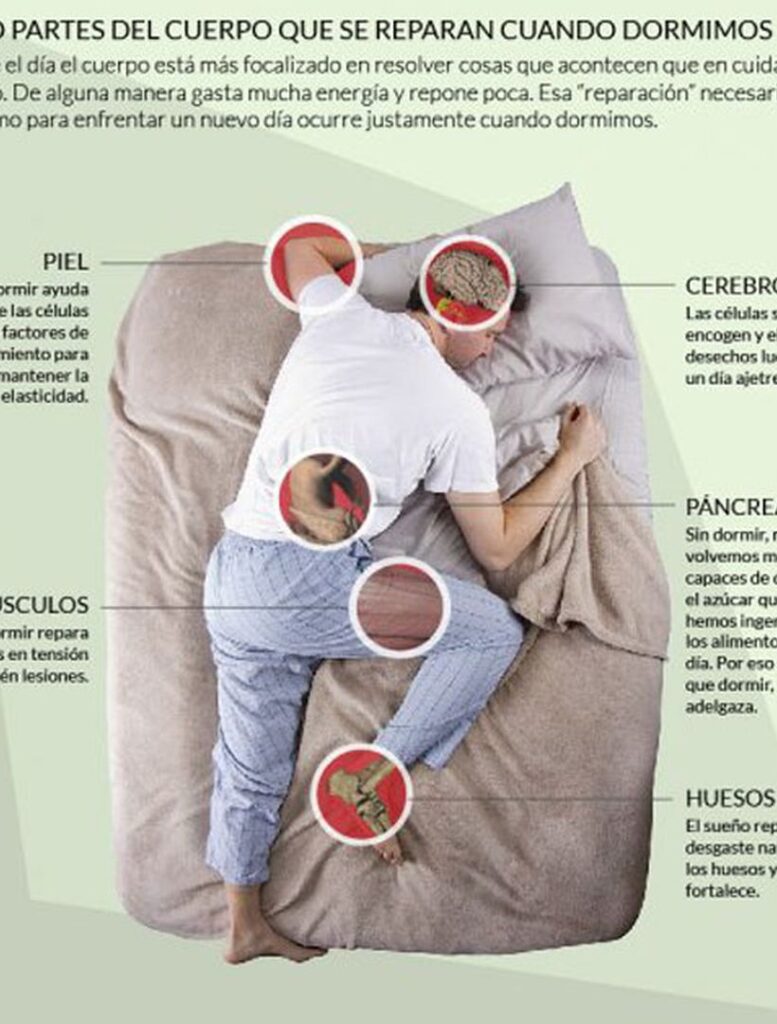 Duerme mejor con inductores de sueño cortos