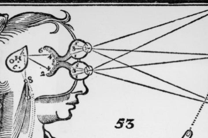 El enigma del significado: ¿Quiénes somos en realidad?