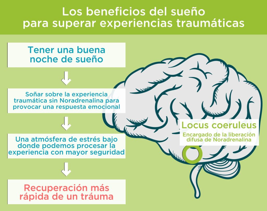 El poder del sueño: cómo ayuda a la recuperación del cerebro