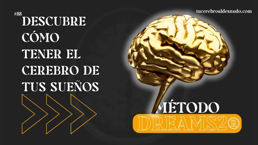 El poder del sueño: descubre la parte del cerebro responsable