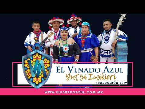 El Venado Azul: sonidos mexicanos que te transportarán