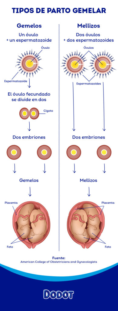 ¿Embarazada de gemelos? Descubre todo lo que debes saber