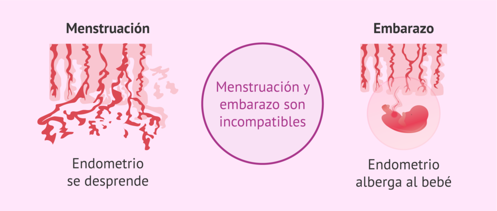 Embarazada y menstruación: ¿Qué significa?