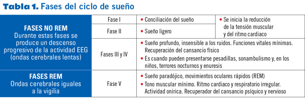 Enuresis nocturna en adultos: la relación con la etapa REM del sueño