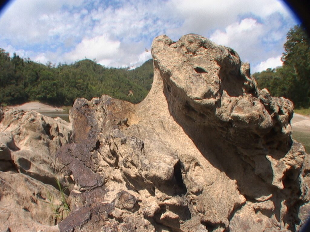 Erosión de piedra: el sueño del rey de la selva en peligro