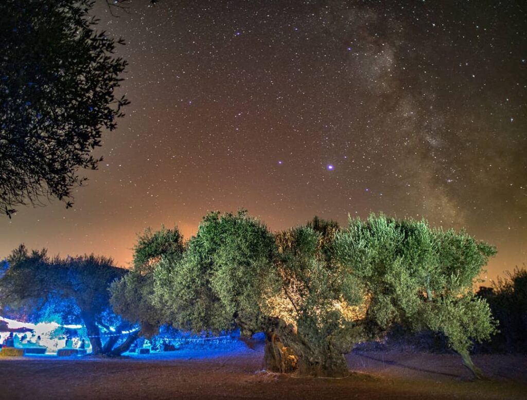 Esperando estrellas: sueños de una noche de verano