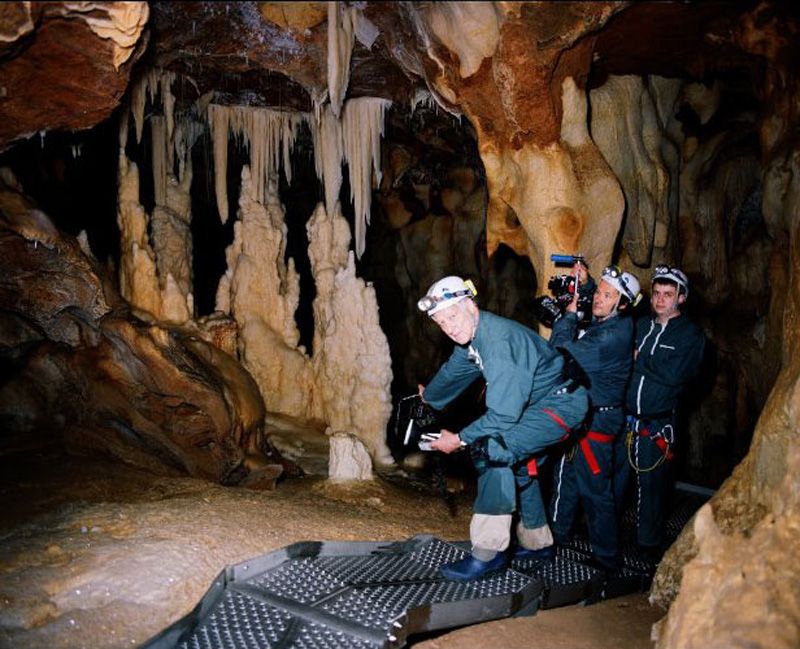 Explora la fascinante Cueva de los Sueños Olvidados con Werner Herzog [SRT]
