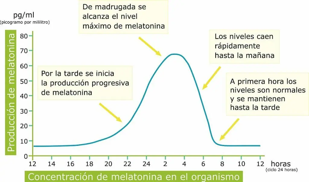 ¿Falta de sueño? Descubre cómo afecta tu temperatura basal