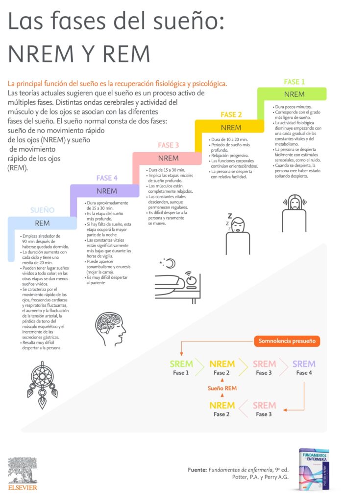 Fases del sueño: No REM y REM ¡Descubre sus diferencias!