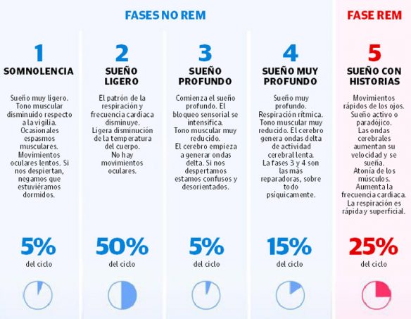 Fases del sueño y poluciones nocturnas: todo lo que debes saber