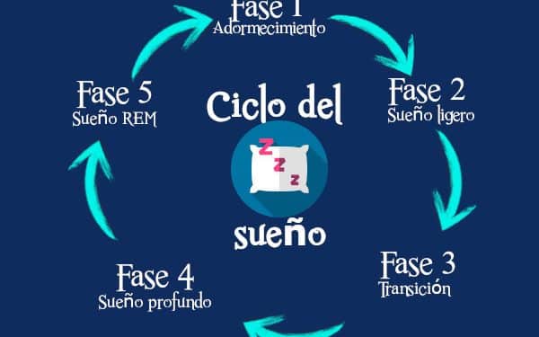 Fases del sueño y sonambulismo: todo lo que necesitas saber