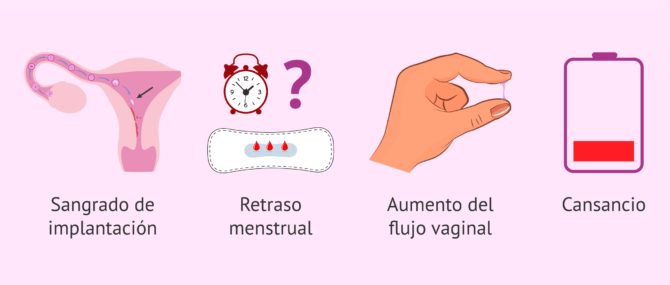 Fatiga, sueño y dolor en el vientre: ¿podría ser inflamación uterina?