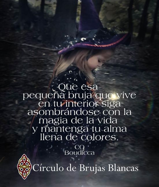 Frases famosas sobre los sueños de la casa de bruja