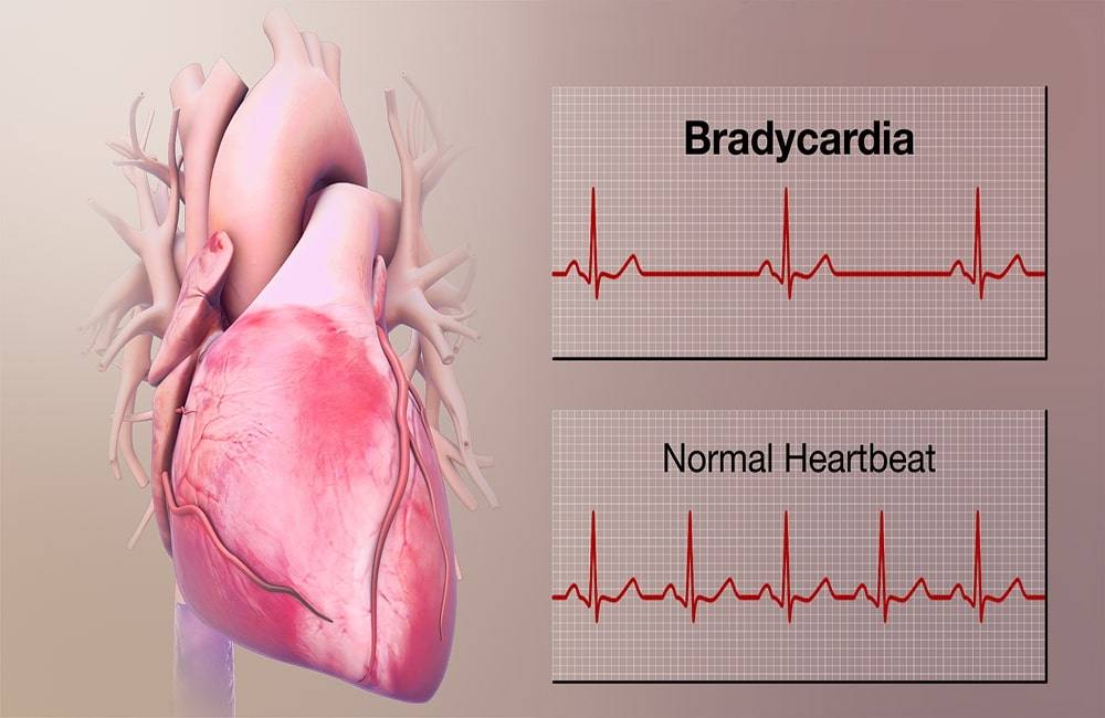 Frecuencia cardiaca baja en niños durmiendo: ¿es normal?