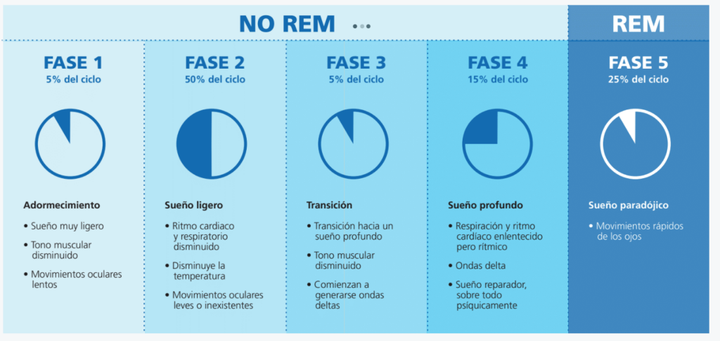 Insomnio REM: Trastorno del sueño que afecta tu calidad de vida