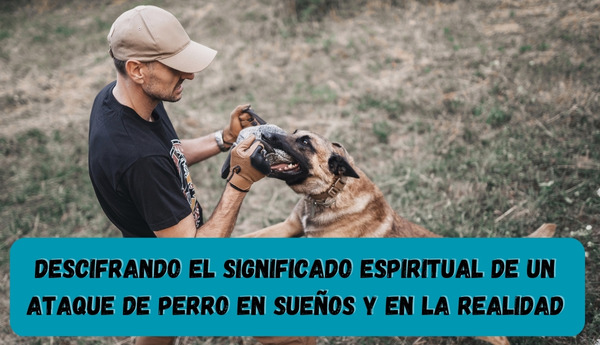 Interpretación de sueños: Ataque de perros múltiples