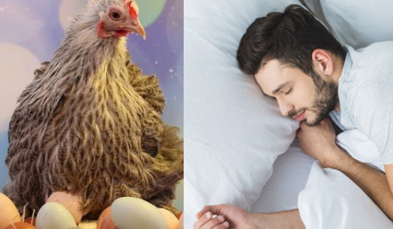 Interpretación de sueños: Gallinas sacando huevos de la boca