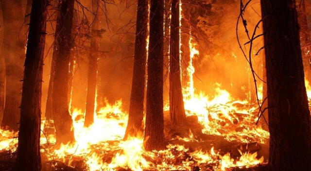 Interpretación de sueños: incendio en el instituto