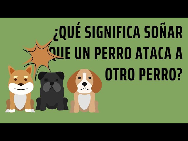 Interpretando el sueño: Perro atacando a otro perro