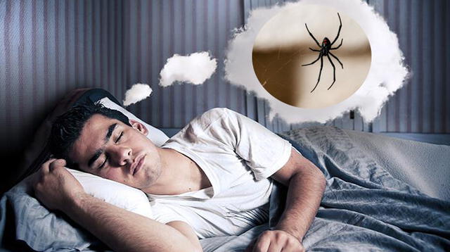 Interpretando sueños: ¿Qué significa soñar con una picadura de araña?