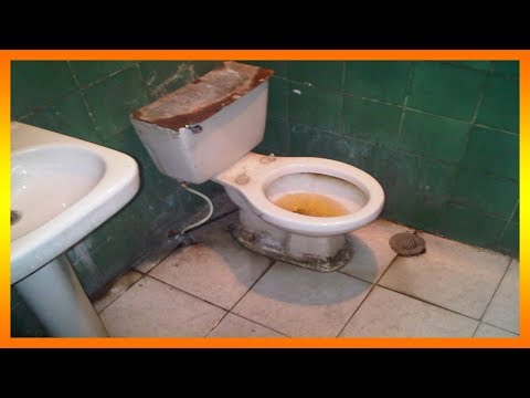 Interpretando tu sueño: Baño sucio de mierda y su significado