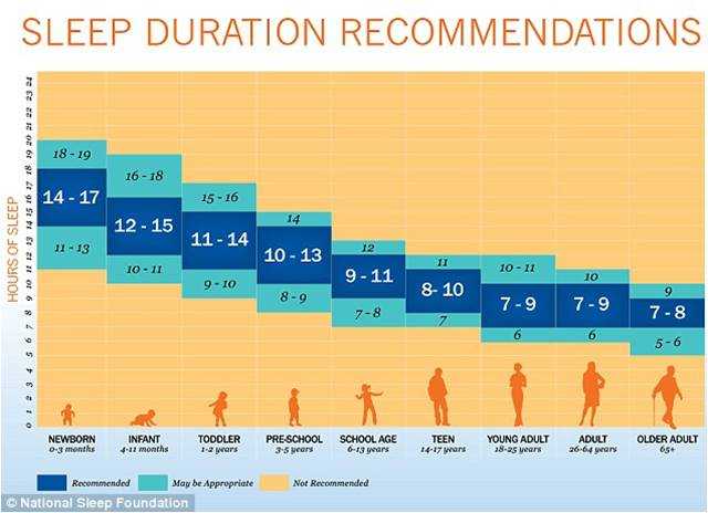 La cantidad perfecta de sueño: ¿Cuántas horas necesita tu cuerpo?