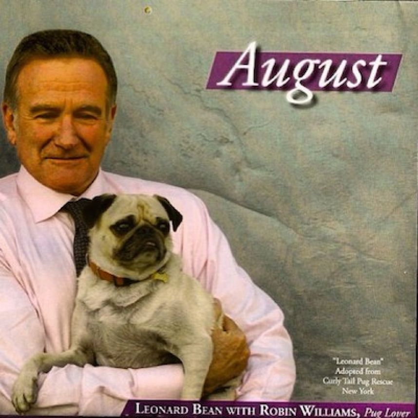 La conmovedora historia de Robin Williams y su fiel amigo canino