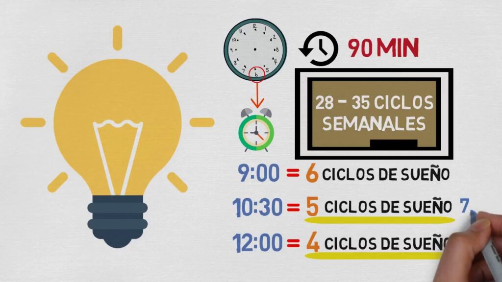 La edad clave para que tu sueño tenga ciclos saludables