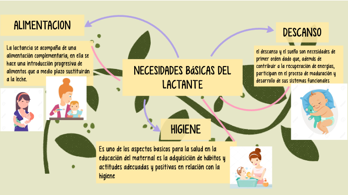 La evolución de las necesidades básicas: alimentación, higiene y sueño