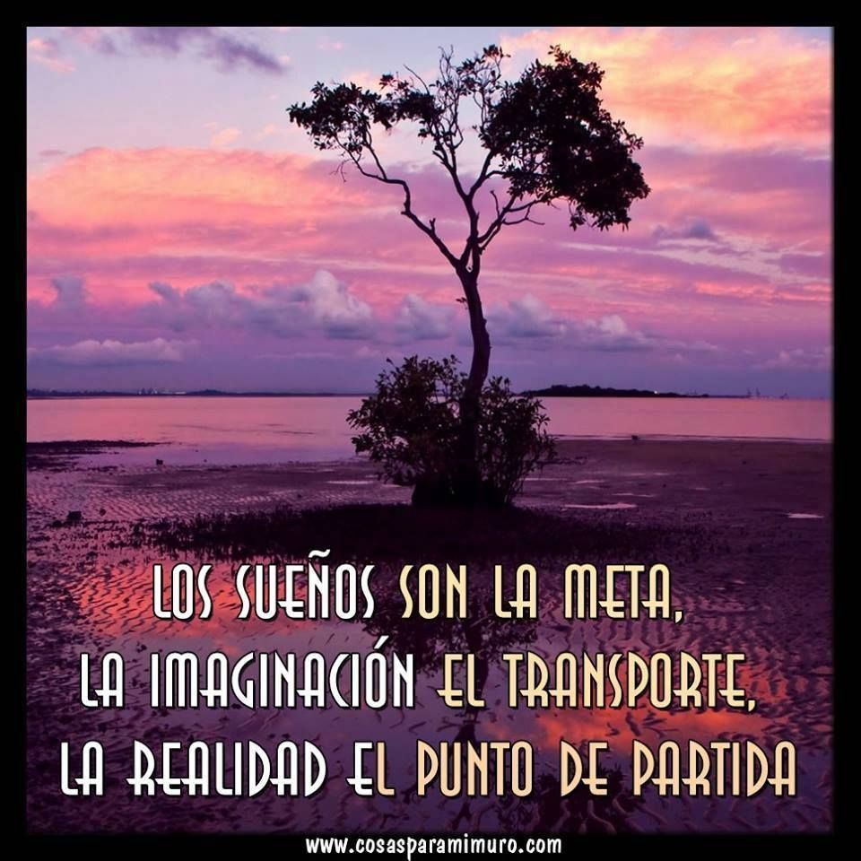 La felicidad me transporta: ¿sueño o realidad?