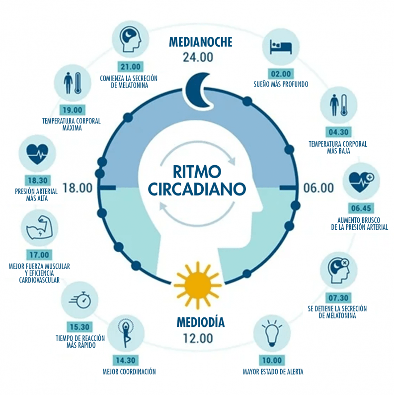 La importancia de los ciclos regulares de sueño y vigilia