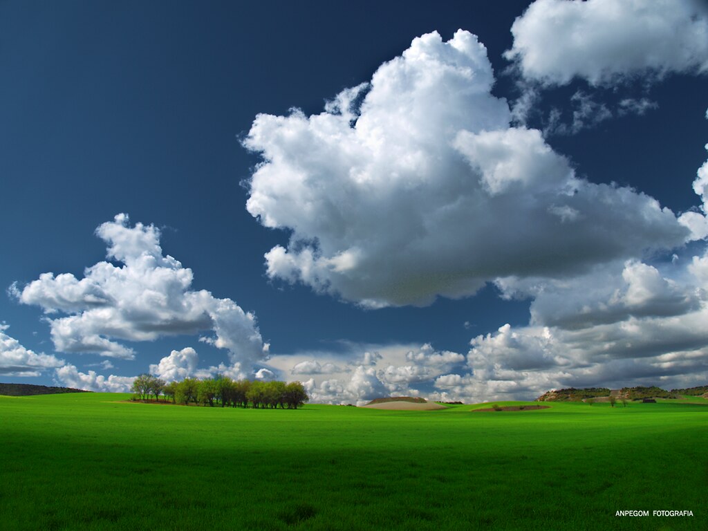 La primavera llega y nuestros sueños se hacen realidad