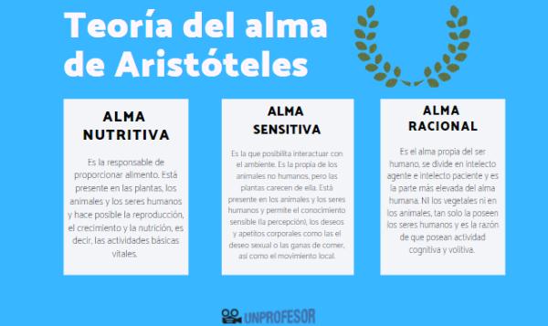 La teoría de Aristóteles: ¿Por qué dormimos?