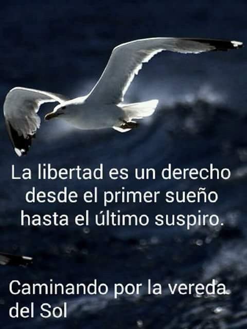 ¡Libertad: un derecho, no un sueño!