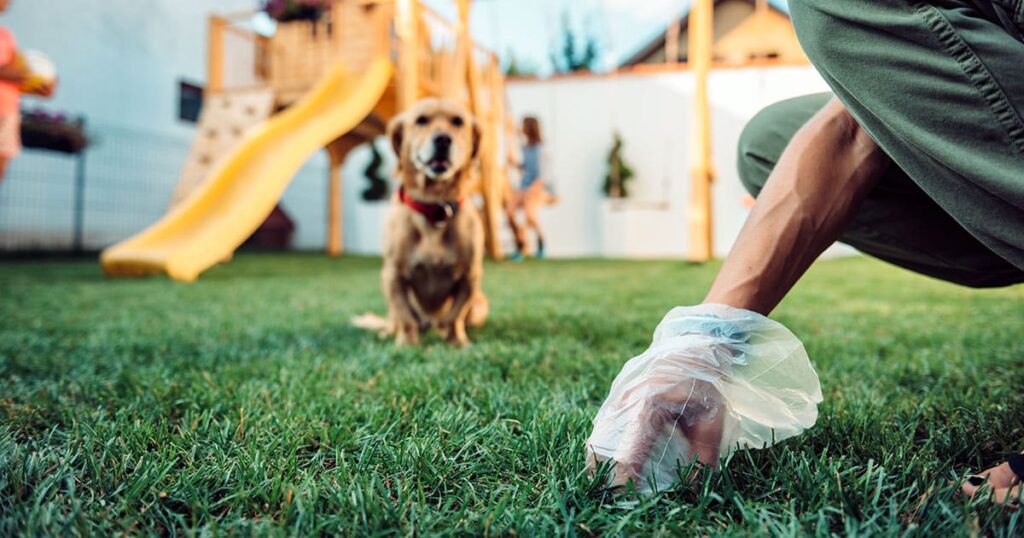 Limpieza de excrementos caninos: ¿un sueño o una pesadilla?