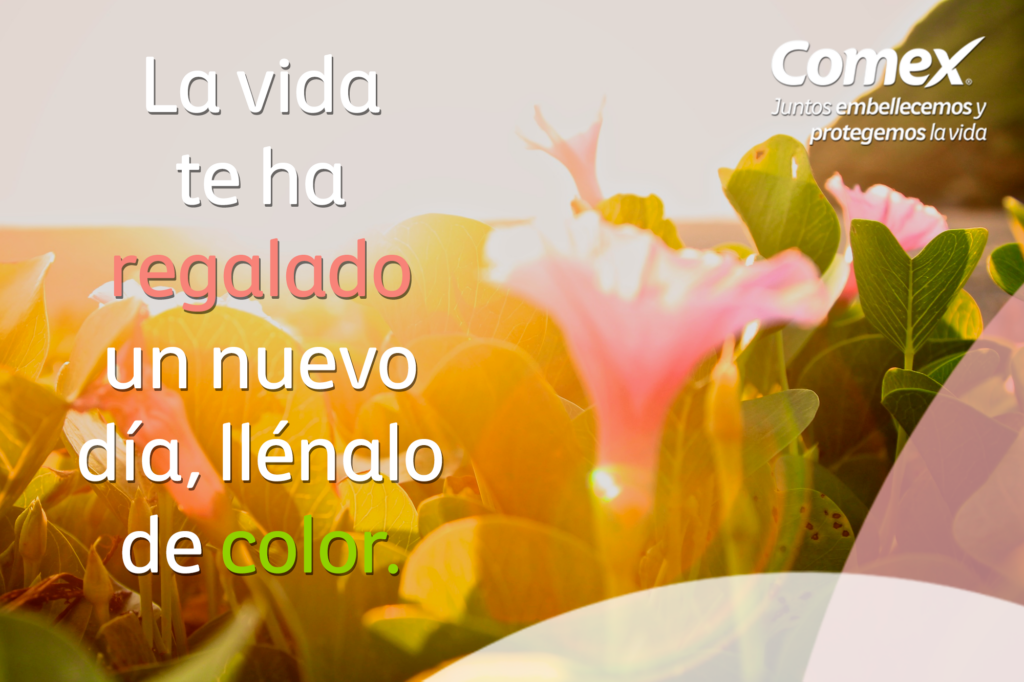 Llena tus días de color y sueños con nuestros productos