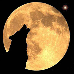 Lobo aullando a la luna: significado y simbolismo
