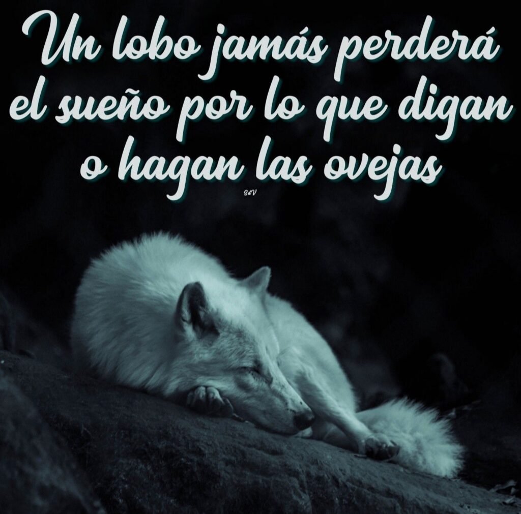 Lobo el lobo: Frases para no perder el sueño