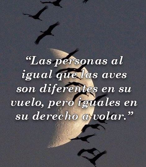 Los hombres presumen, las aves vuelan: una reflexión sobre la libertad