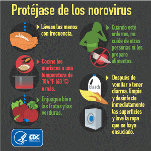 Malestar estomacal y síntomas gripales: causas y remedios