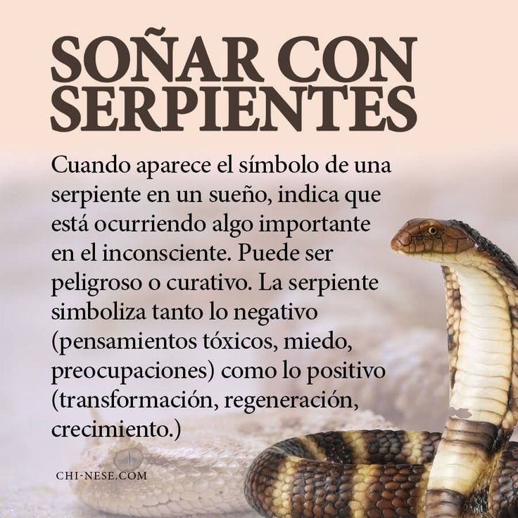 Mantra transformador: sueños revelan serpientes en tu vida