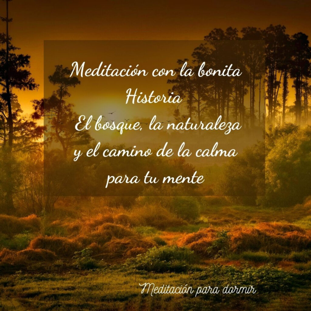 Meditaciones al borde del sueño: El libro que transformará tu mente