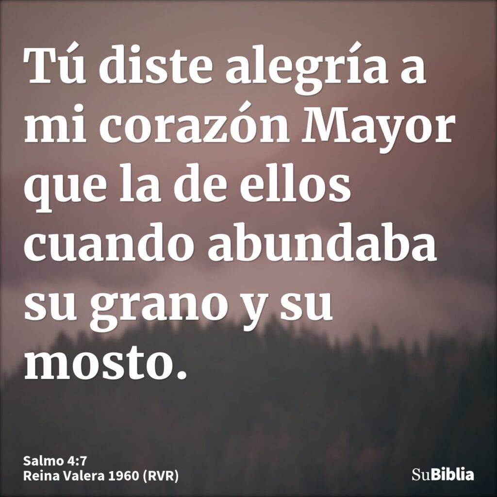 Mi corazón rebosa de alegría al ver mi sueño cumplido