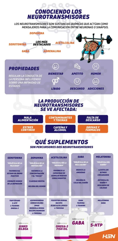 Neurotransmisor clave: hambre, sueño y emociones