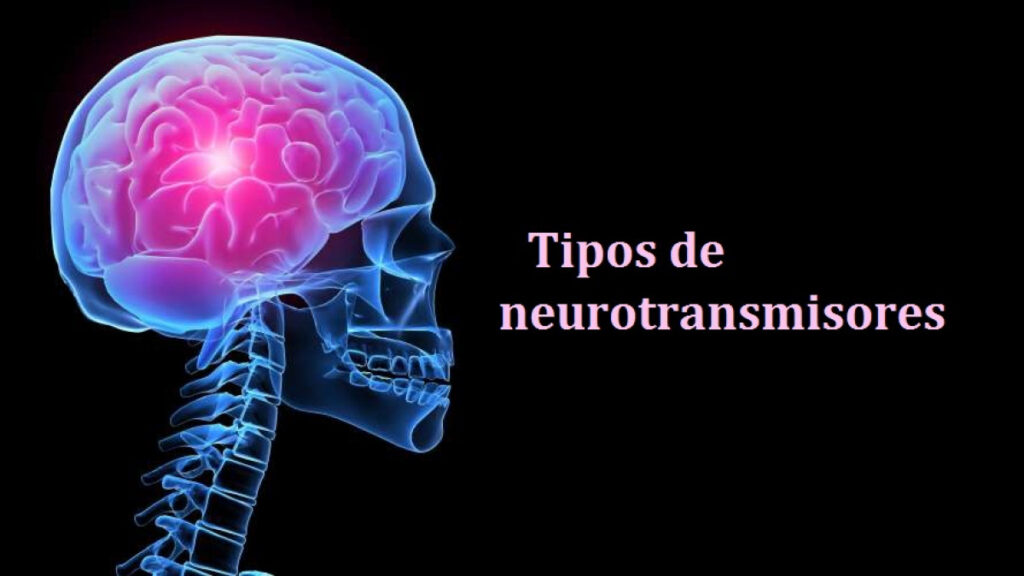 Neurotransmisores: clave en emociones y sueño