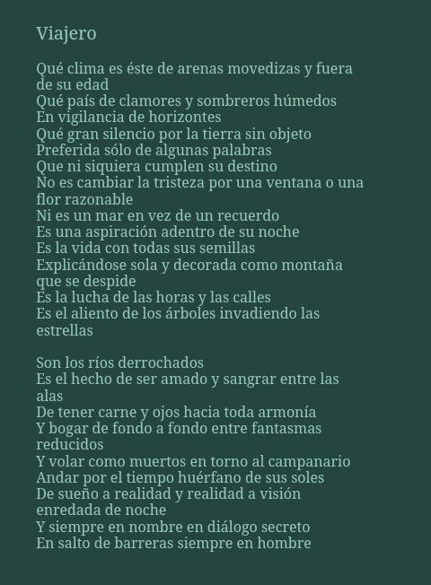 Ojos de mar y tierra: la magia de un sueño hecho realidad