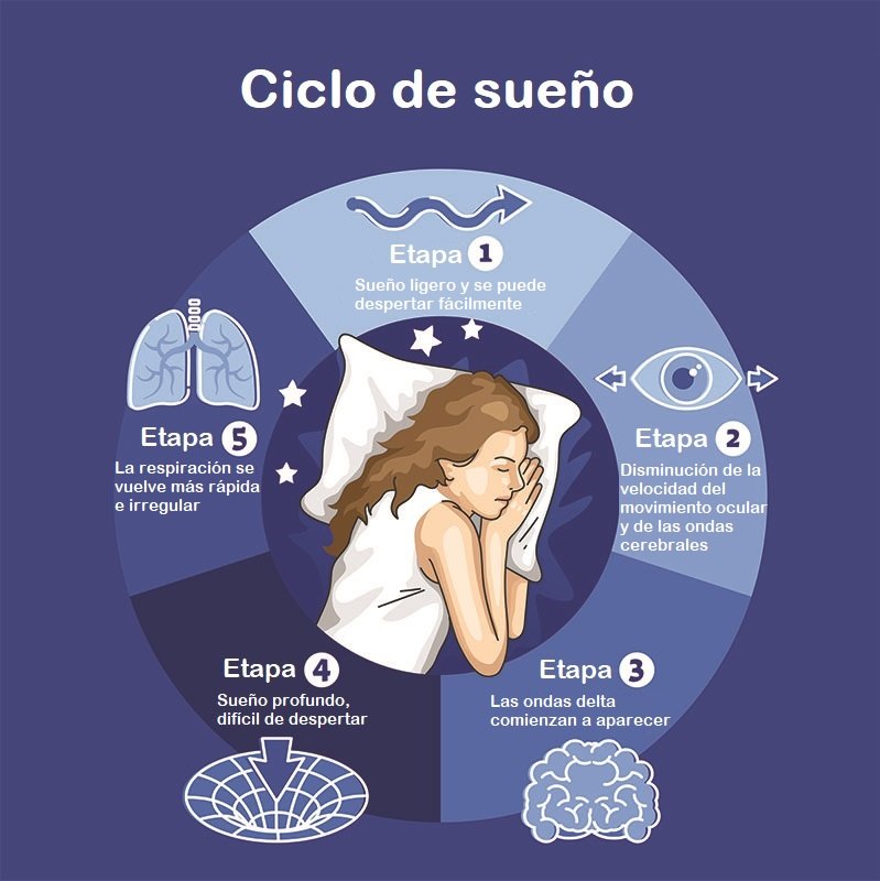 Optimiza la salud: Ciclo regular del sueño en pacientes