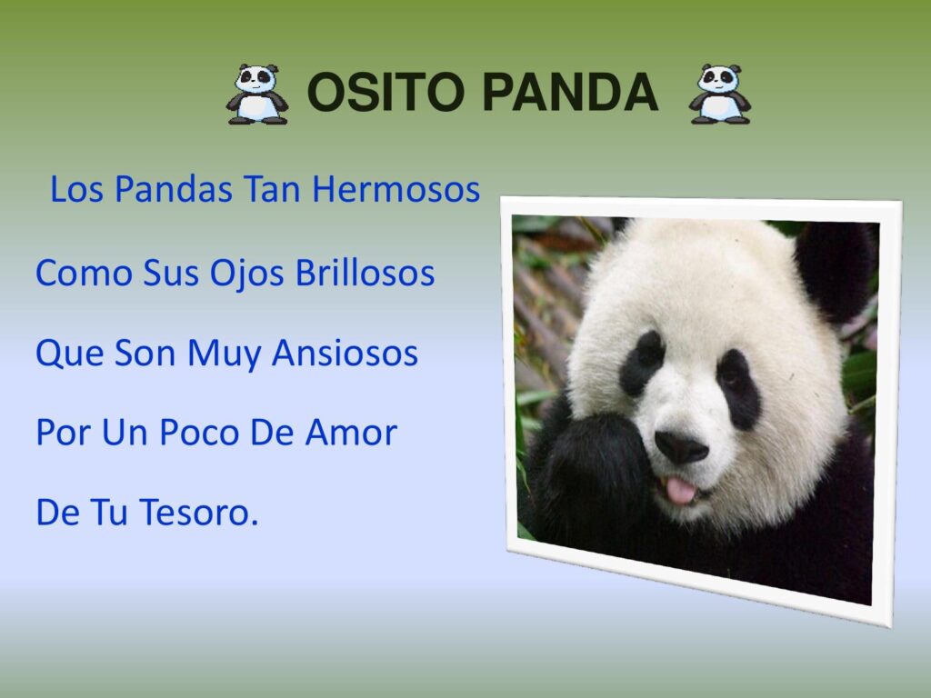 Panda que sueña: Poemas cortos de osos pandas llenos de ternura