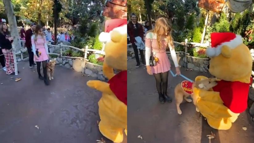 Perro conmueve al mundo al cumplir su sueño de conocer a Winnie Pooh