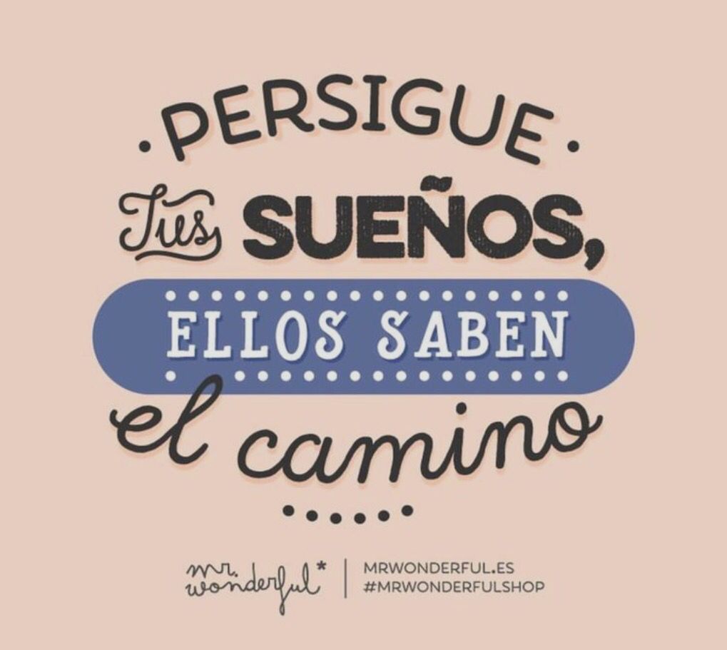 Persigue tus sueños con Mr. Wonderful: el camino está en ti